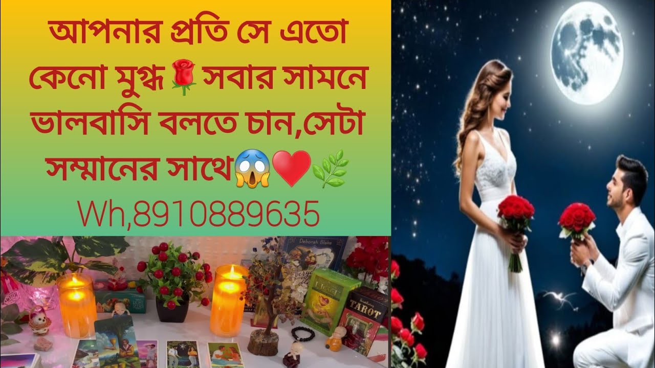 আপনার প্রতি সে এতো কেনো মুগ্ধ🌹সবার সামনে ভালবাসি বলতে চান,সেটা সম্মানের সাথে😱♥️🌿Wh,8910889635 #tarot