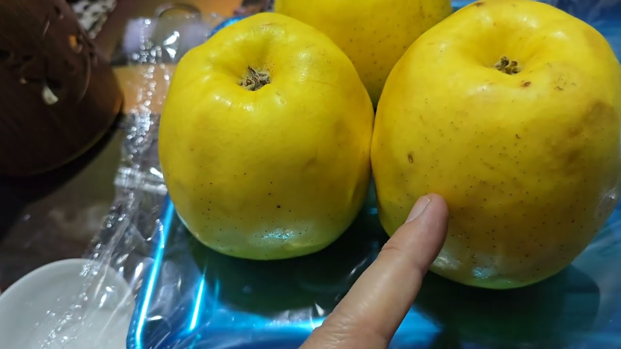 🍎Себҳои калонҳаҷм(Голден,Чорний Принц)Ниҳолҳои бо сифат ва кафолати пурраи рушд🌱Мутобиқ ба иқлими мо