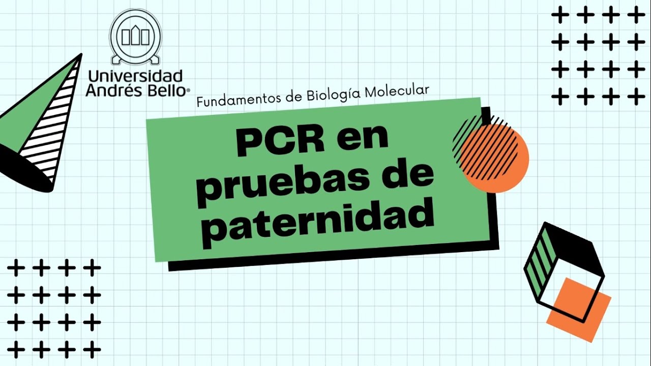 PCR en pruebas de paternidad