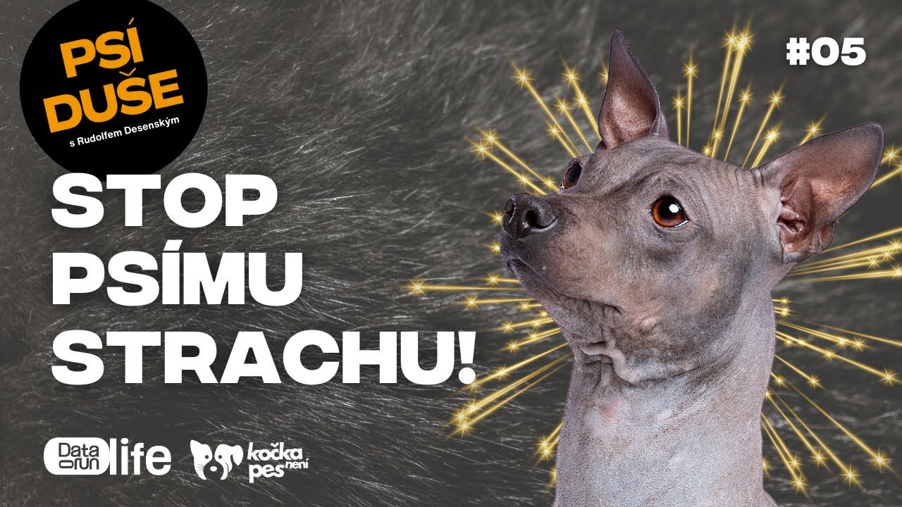 Rudolf Desenský: Stop psímu strachu! Naučte svého psa zvládat bouřky i rachejtle | Psí duše #05