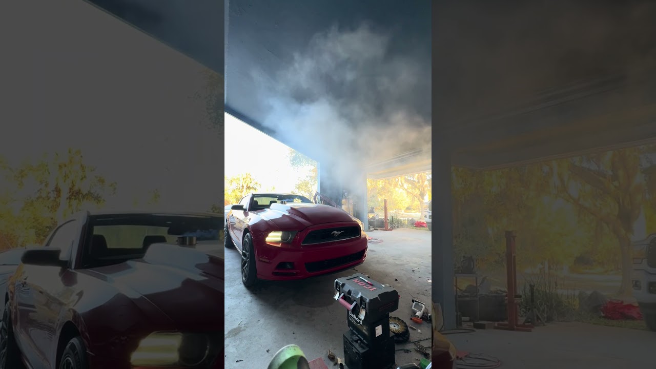Cummins mustang cold start 