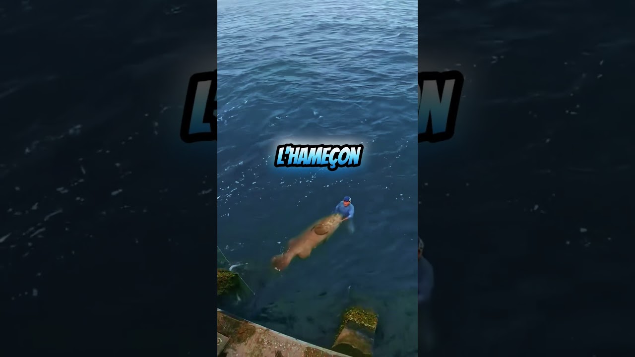 Jeune P&ecirc;cheur Rel&acirc;che un &Eacute;norme M&eacute;rou #p&ecirc;cheur #incroyable #poisson #prise #fishing #fishingvideo