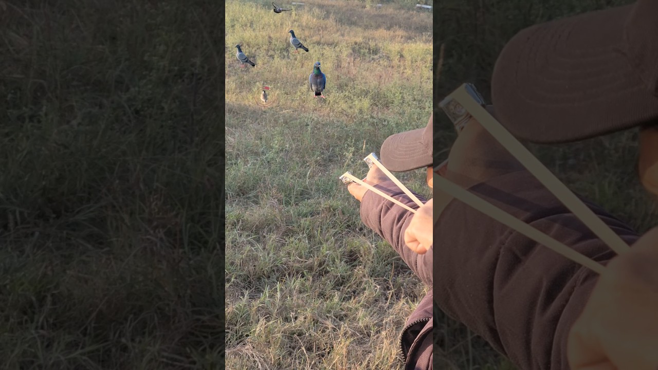 Began hunting master short video #ytshorts #shorts #slingshot