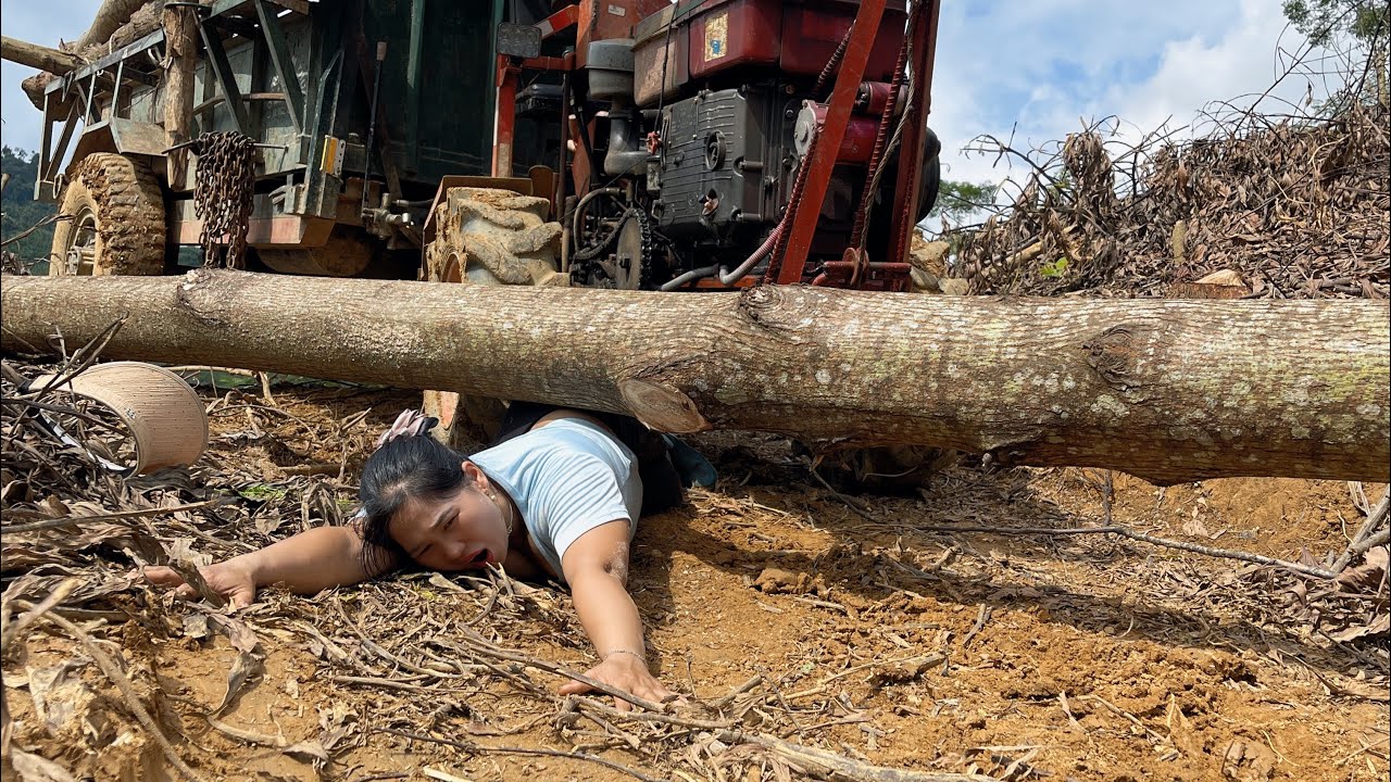 Logging and transporting timber by agricultural vehicle is extremely arduous and dangerous.