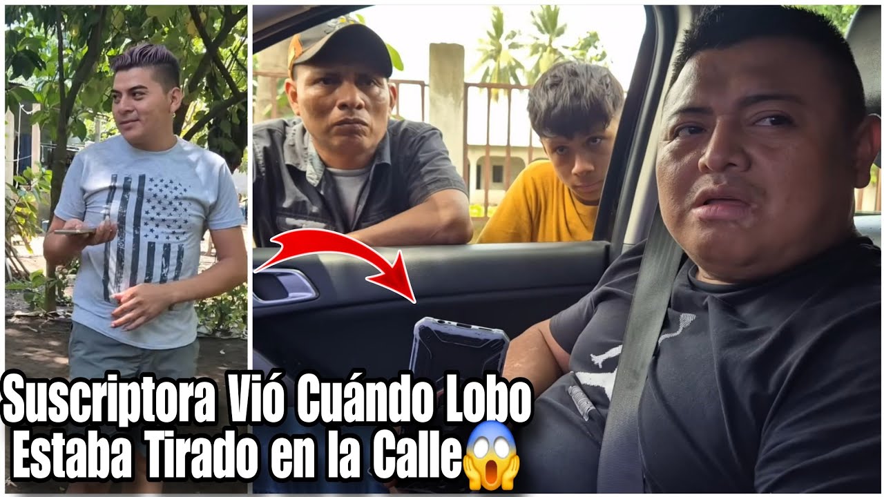 Yo Vi Donde Lobo Estaba Ag0nizando El Lobo Tirado a Media Calle dijo la Suscriptora Miro Todo