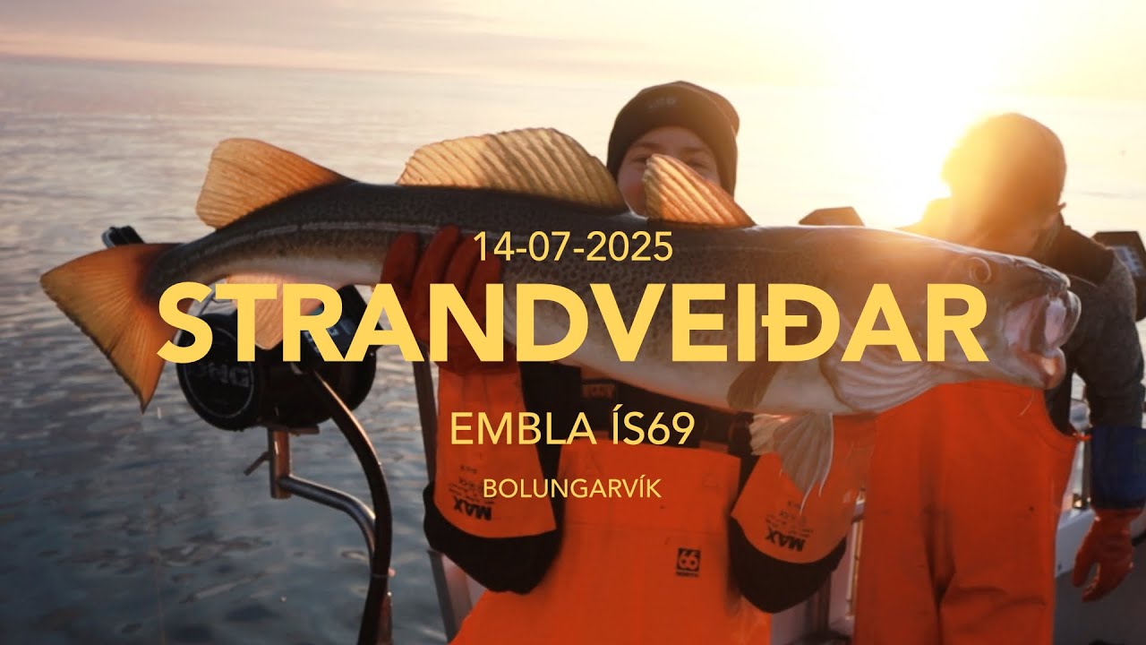 Strandveiðar á Emblu Sumarið 2025