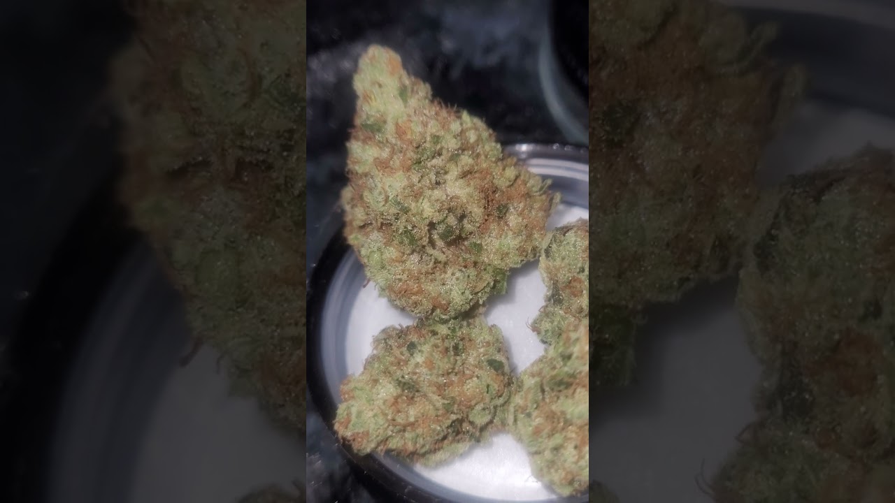 💪💪💪AMPLIFIED FARMS ~ SUPER SOUR DIESEL INDOOR STRAIN👀👀👀