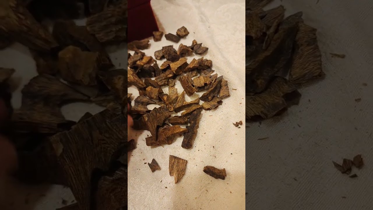 معلومات مهمة عن بعض انواع العود الصيني، ومعنى كينام، ابوجود اليحيى 0592039692