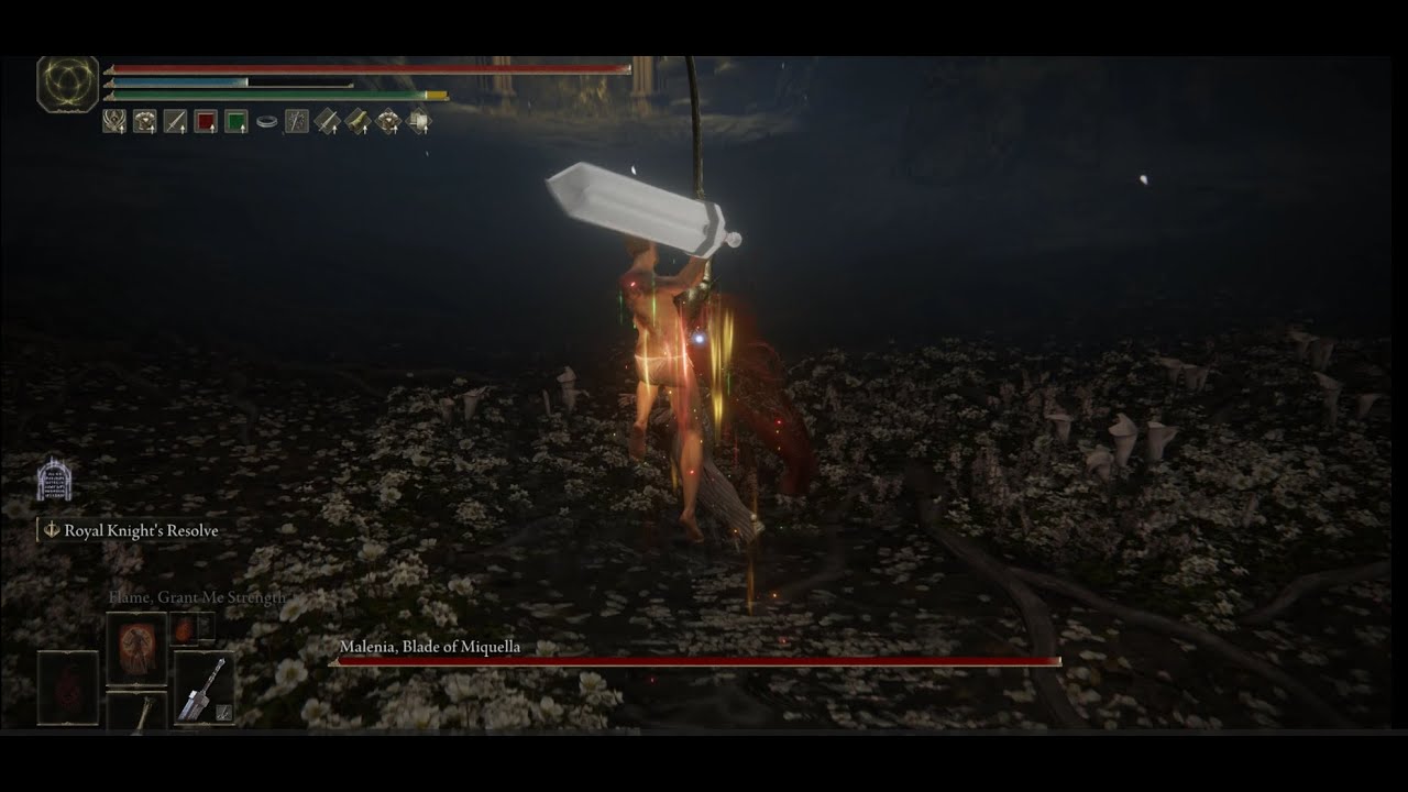 Greatsword+24 vs Malenia, Blade of Miquella
