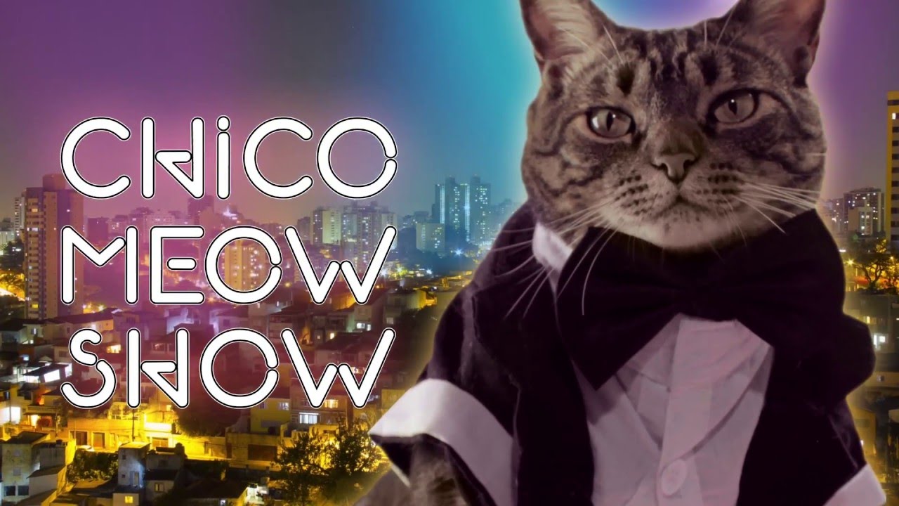VEM AÍ: CHICO MEOW SHOW!
