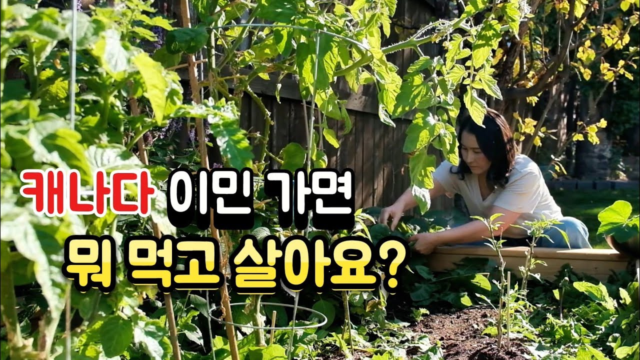 40대 마지막 가을을 보내며... 감자탕 망치기, 푸틴, 캐나다가을공원