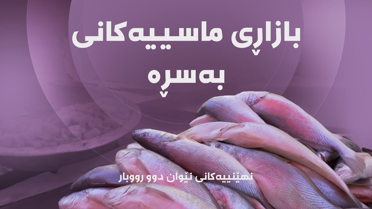 نهێنییەکانی نێوان دوو رووبار - بازاڕی ماسییەکانی بەسڕە
