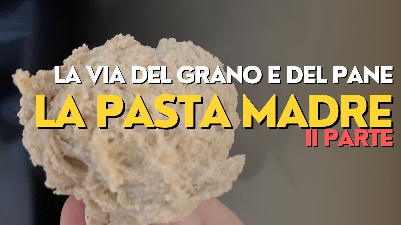 LA PASTA MADRE | La via del grano antico e del pane: PER CORSO PANIFICAZIONE AMATORIALE BASE