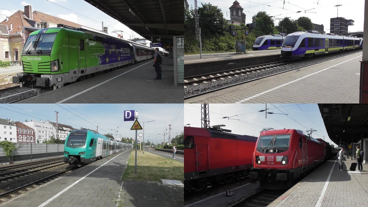 Bahnverkehr in Osnabrück Hbf mit Flixtrain, Intercity, Güterverkehr und Regionalverkehr