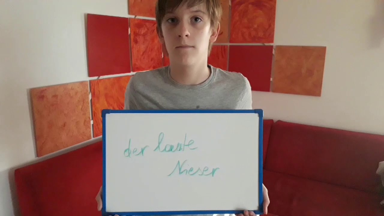 10 Arten von Niesern, die jeder kennt