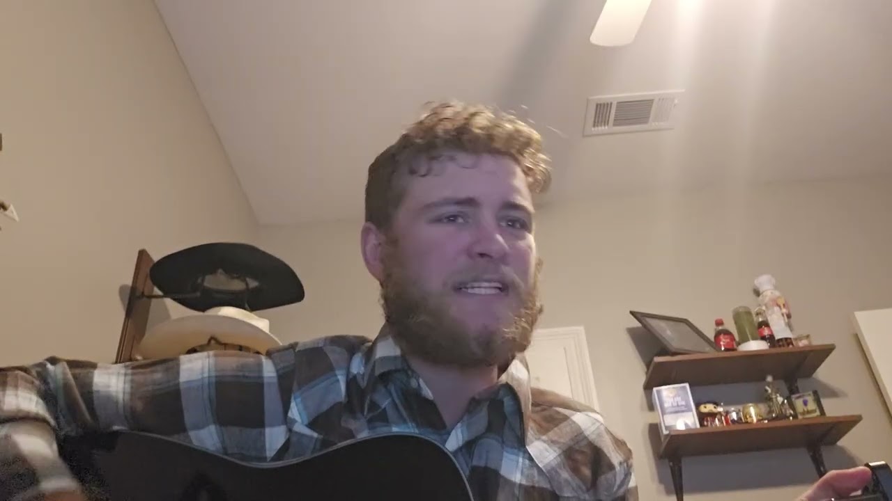 Lies - Bottomland Cover