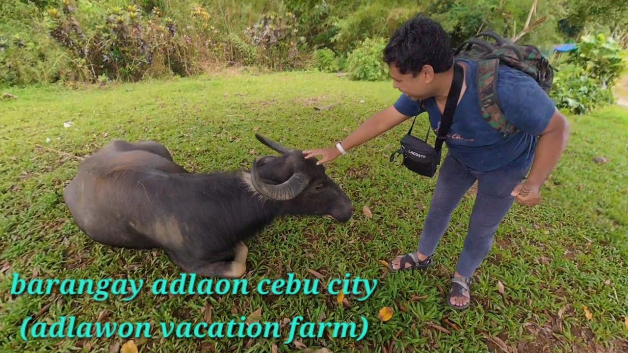 ADLAON, CEBU CITY