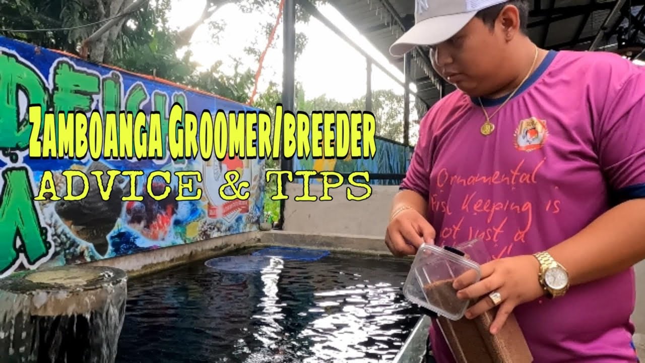 EP266. VCM GOLDFISH FARM | ZAMBOANGA | ADVICE AND TIPS
