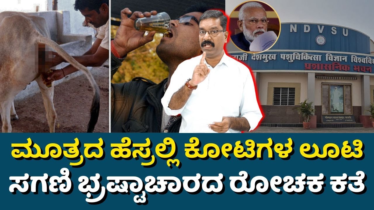Cow urine & cow dung scam in MP. Cores looted. ಗೋ ಮೂತ್ರ, ಸಗಣಿ  ಹೆಸರಲ್ಲಿ ಕೋಟಿ, ಕೋಟಿ ಲೂಟಿ.