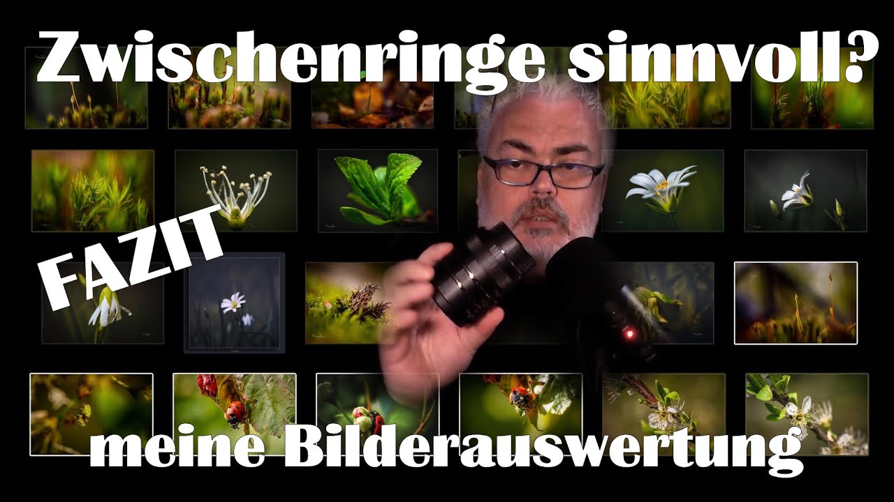 Fotografie | Makrofotografie mit Zwischenringen sinnvoll? Mein Fazit anhand meiner Bilderauswertung