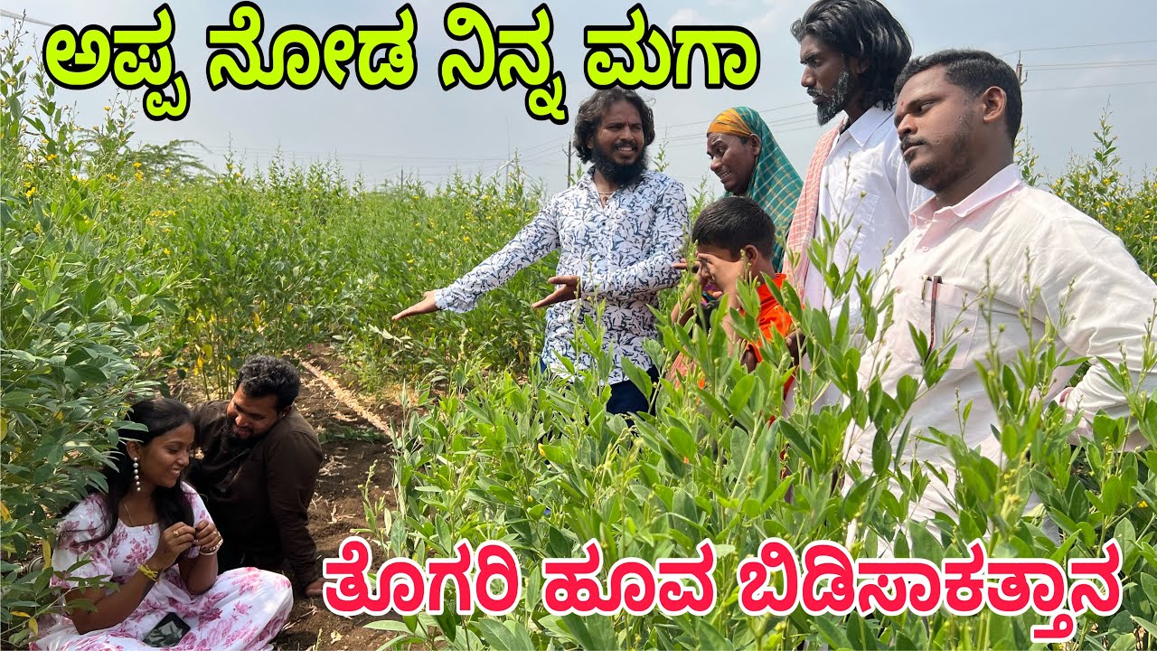 ತೋಗರಿ ಹೂವಾ ಬಿಡಸುದು #shivaputra #shivaputracomedy #shivaputrayasharadha #uttrakarnataka