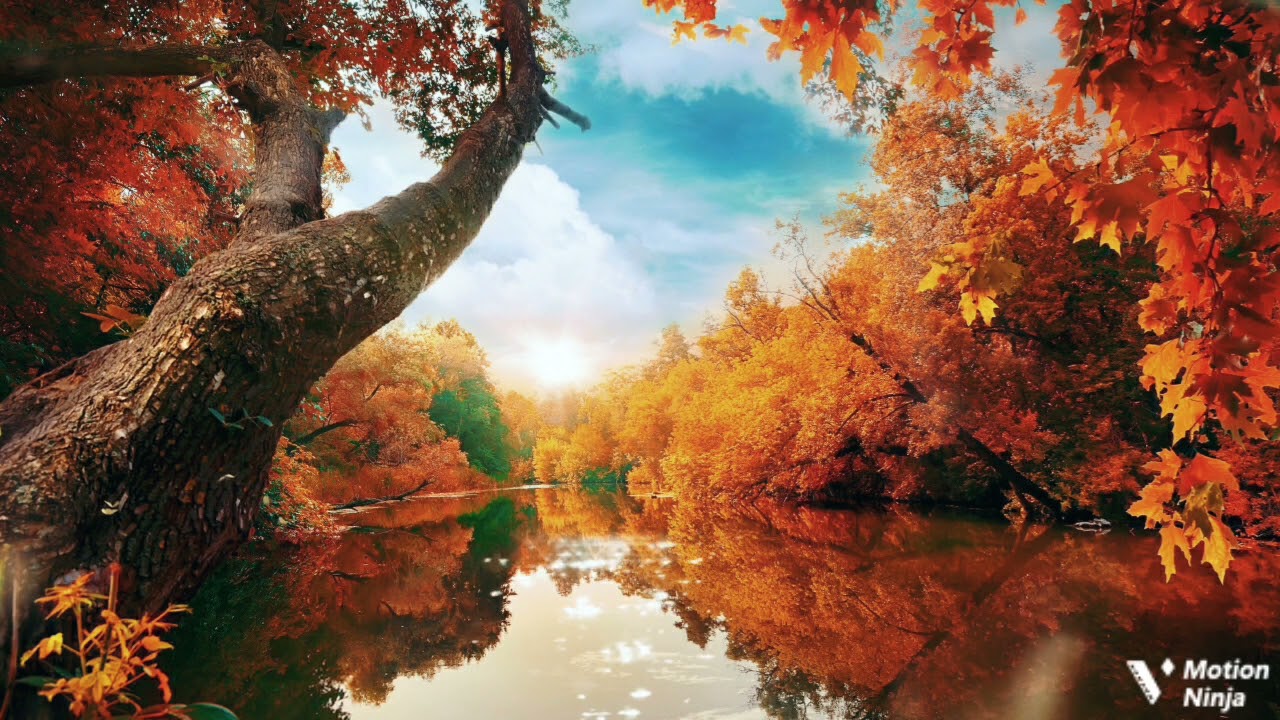 Beautiful Asian Music - Zen Meditation Music - Japanese Music/Inner Peace/Stress Relief.