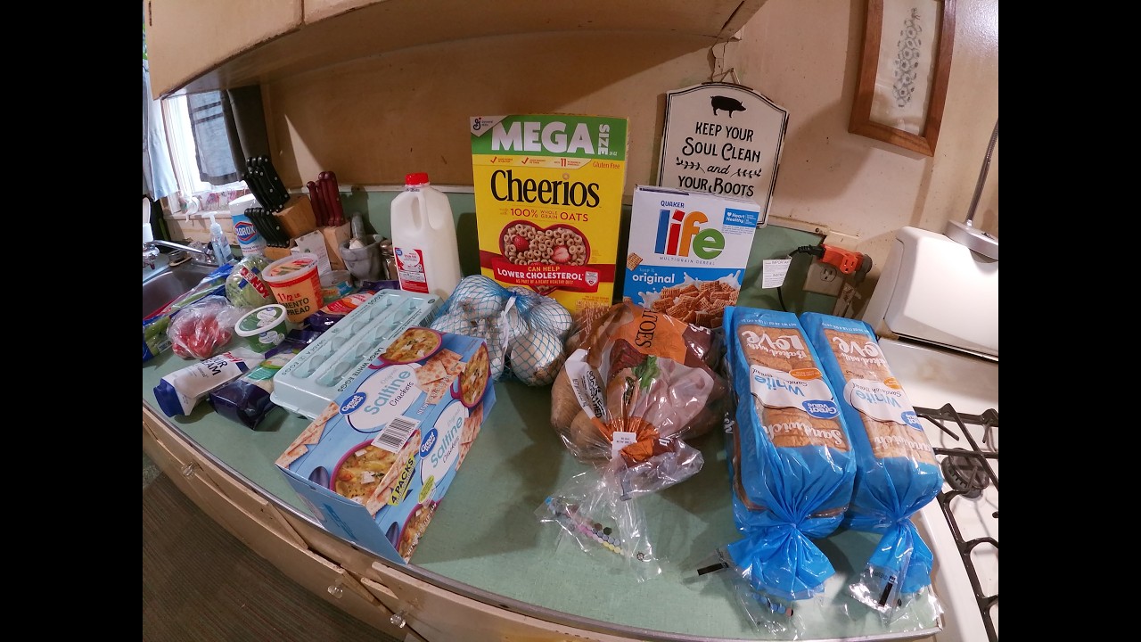 My Smallest Grocery Haul Of Them All!