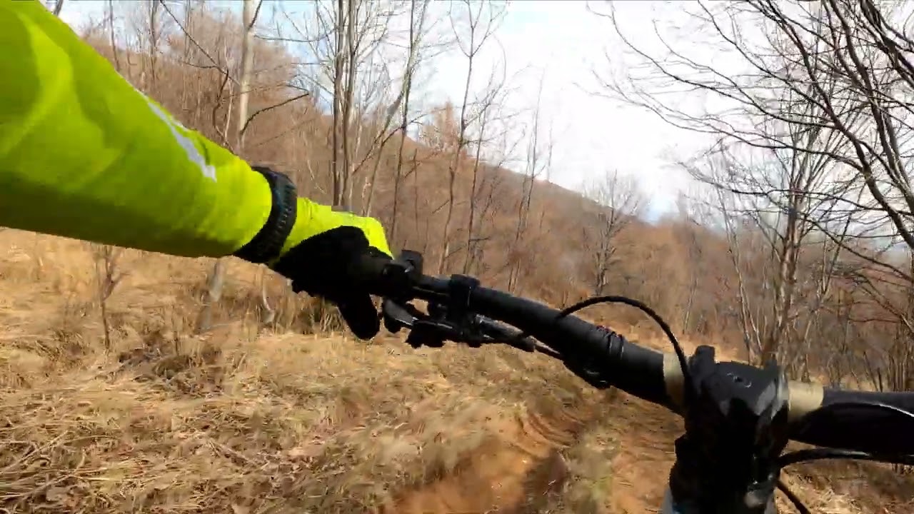 ORNEDO - Aviano Enduro MTB - Orbea Wild