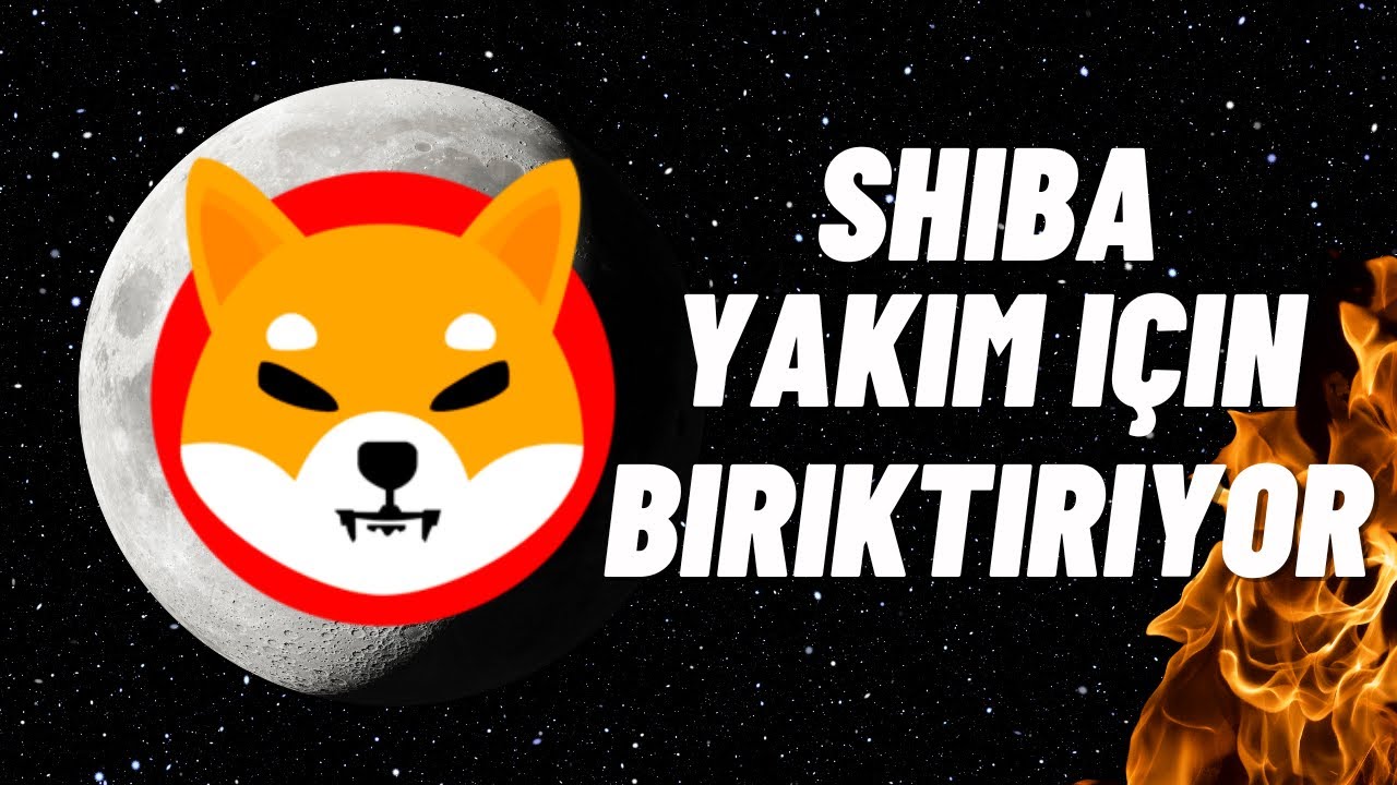 SHİBA YAKIM PORTALI B&Uuml;Y&Uuml;YOR! KRİPTO PARA YAKIMI NE ZAMAN?