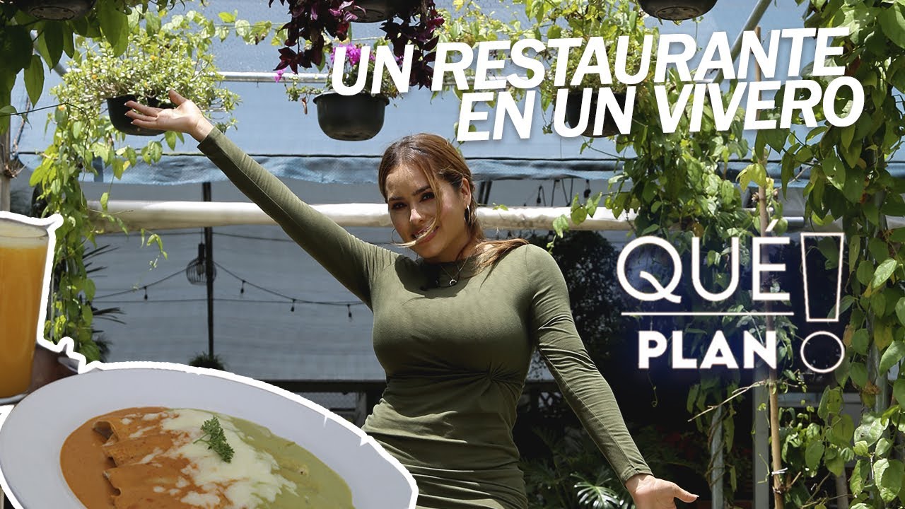 Un restaurante en un vivero 🌿🍃🌻| LA PLANTERÍA | Desayunos y Flores ☕🍳🌼