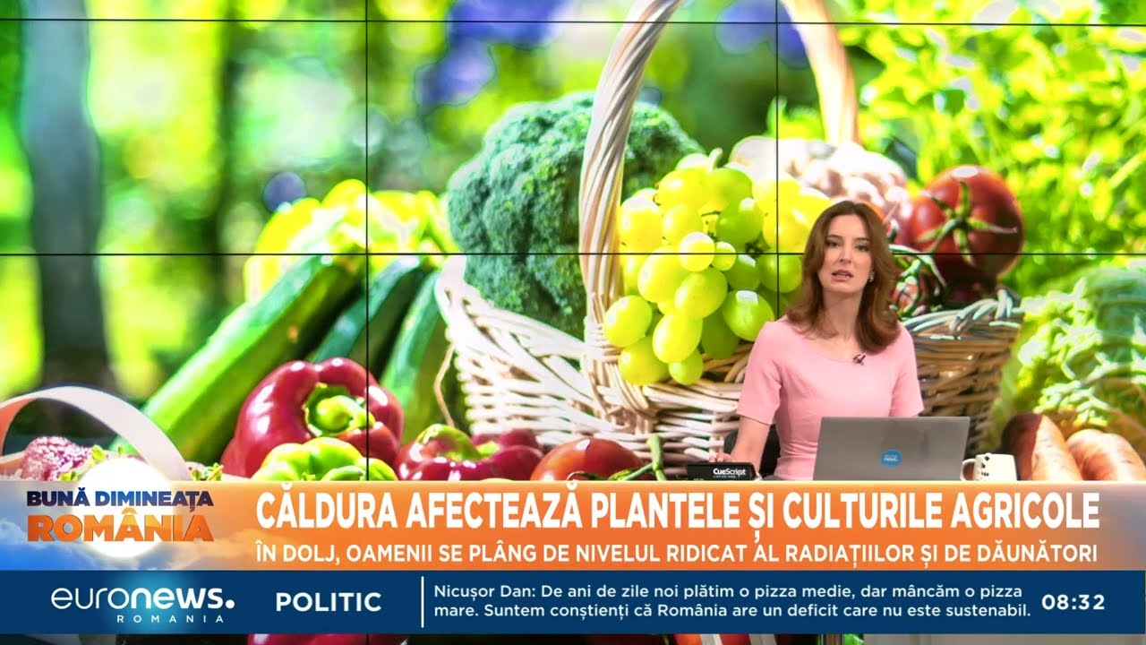 Căldura afectează plantele și culturile agricole
