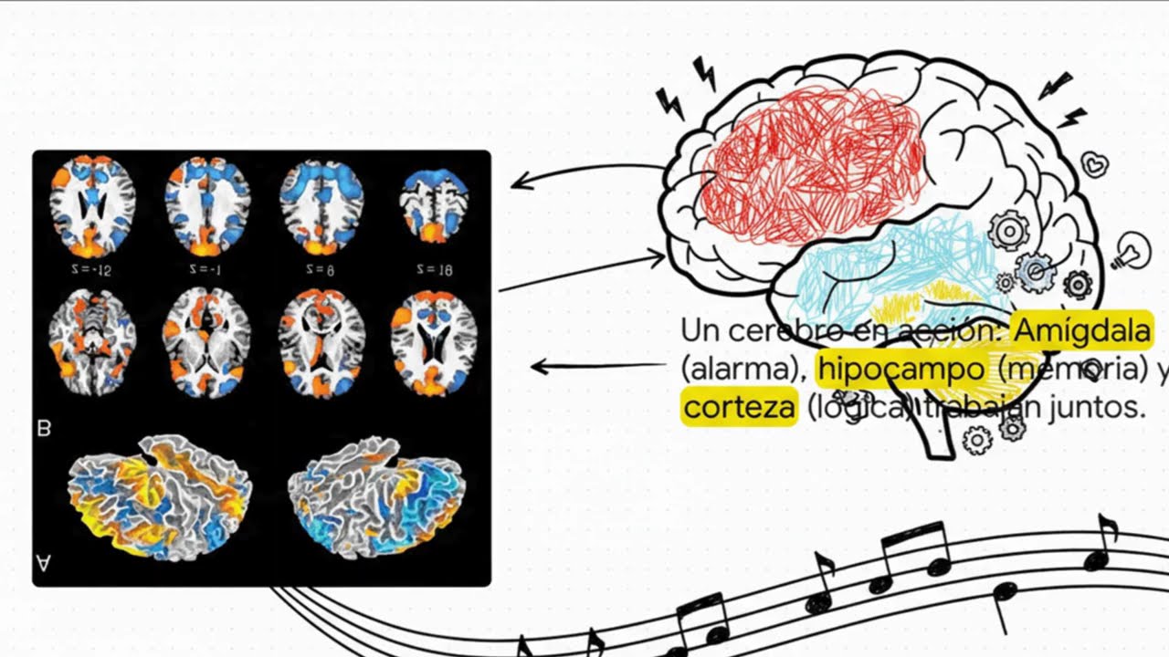 Emoción vs Sentimiento