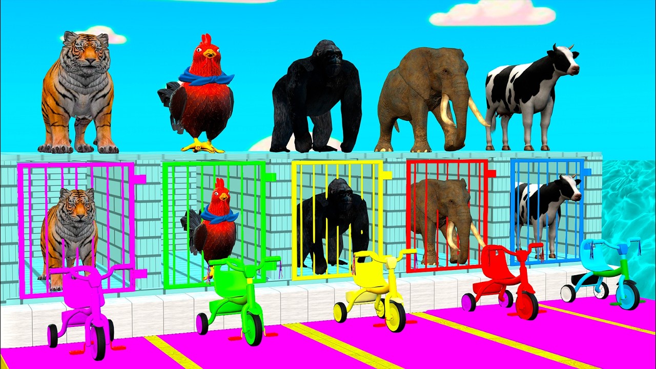 Long Slide Game With Cow Elephant Gorilla Hippopotamus Tiger 3d Animal Game Funny 3d Animals