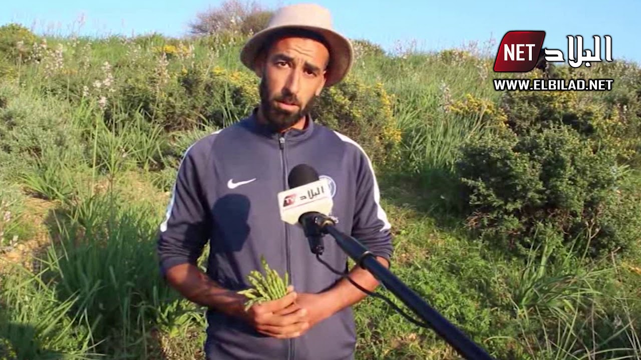 طبق السكوم .. أكلة شعبية لها محبيها