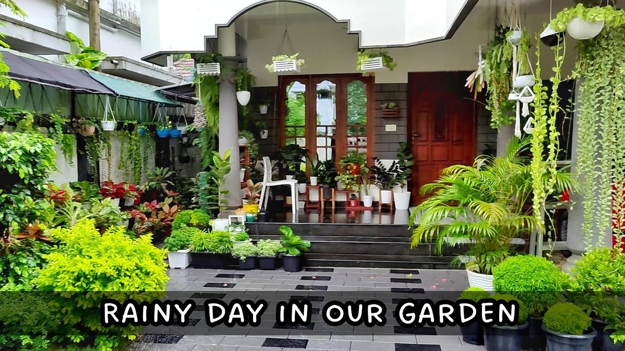 മഴയത്ത് ഒരു ഗാർഡൻ ടൂർ | Rainy Day in our Garden | a soothing Garden tour.