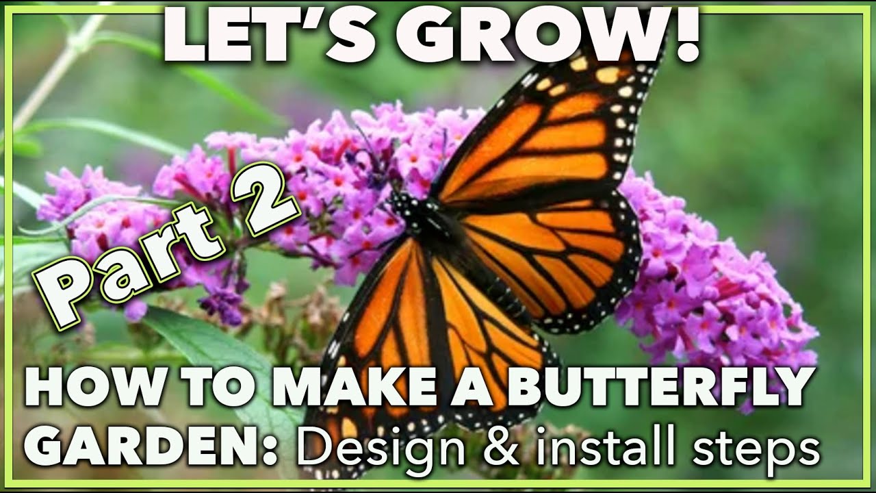 HOW TO DESIGN AND INSTALL A BUTTERFLY GARDEN