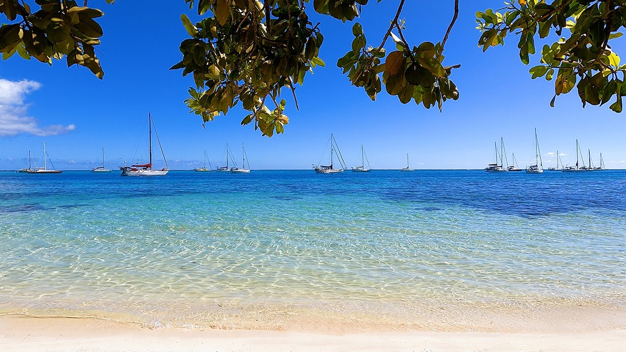 Ta'ahiamanu: A Blissful Beach Paradise in Moorea