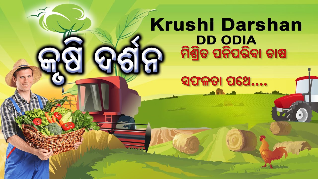 Krushi Darshan ||କୃଷି ଦର୍ଶନ || ମିଶ୍ରିତ ପନିପରିବା ଚାଷ, ସଫଳତା ପଥେ, ମାଛ ଚାଷରେ ସରକାରୀ ପ୍ରୋତ୍ସାହନ