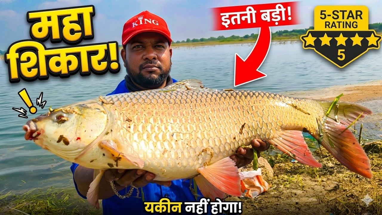 fish hunting | fish catching | fishing videos