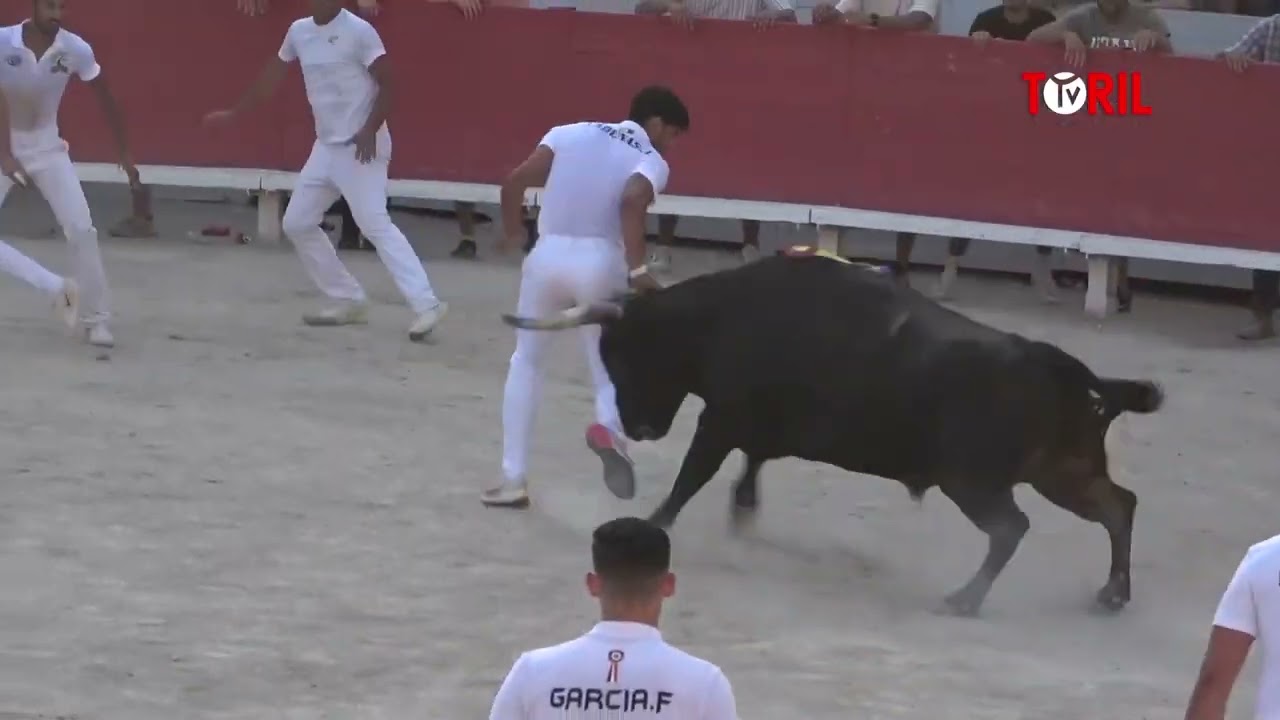 Un jour / Une vidéo  - Cocarde d'or 2022 Arles