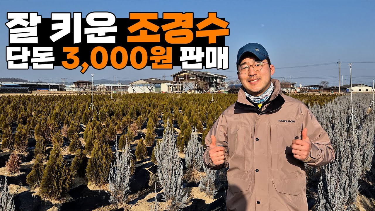 돈 된다던 블루엔젤, 에메랄드그린 농사 접습니다..