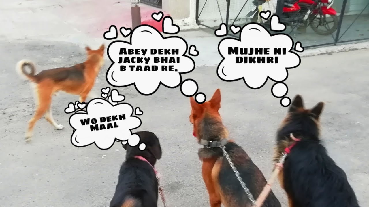 Taking my boys on walk