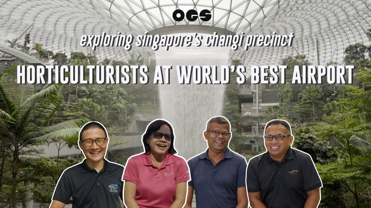 Caring for 600,000 Plants At The World's Best Airport | Changi Airport, Jewel, Jurassic Mile
