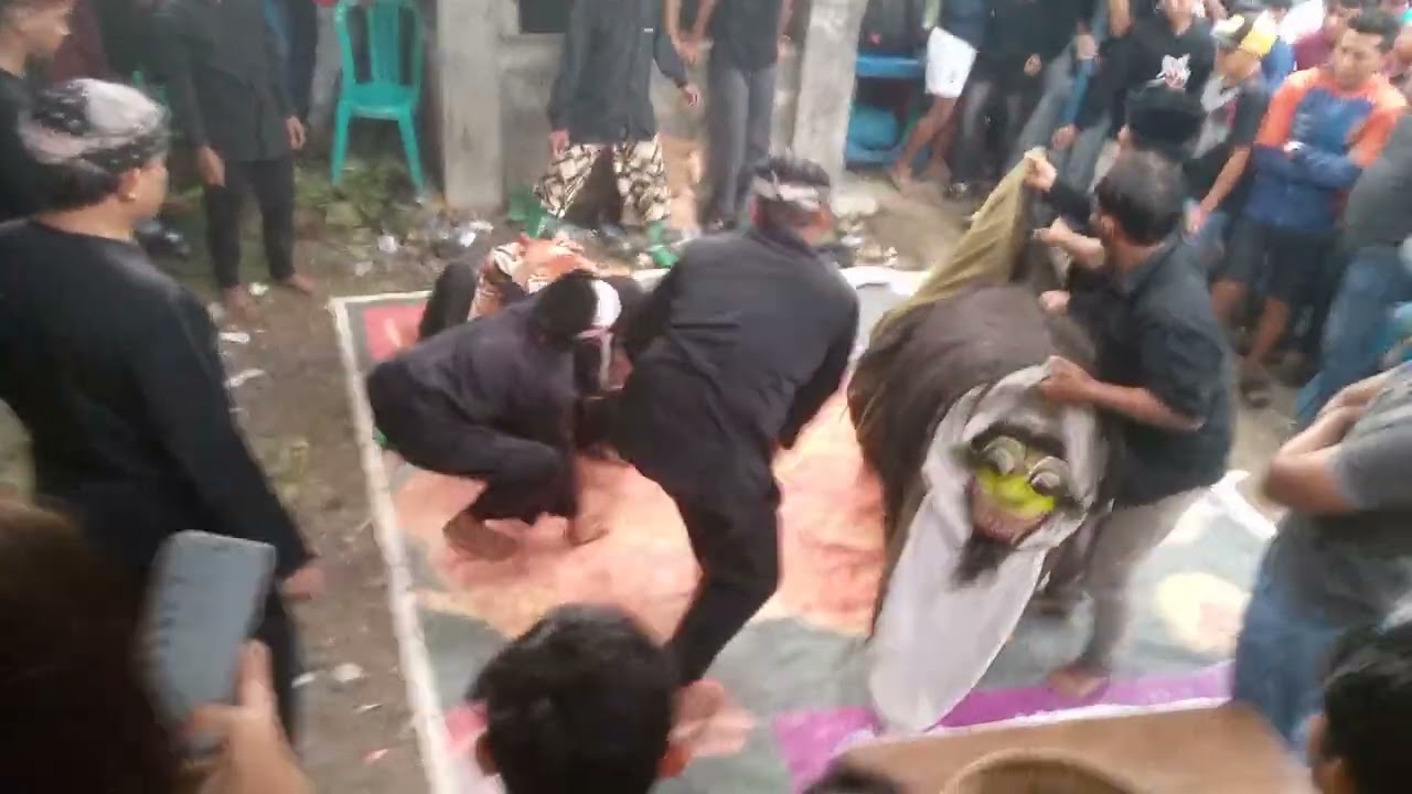 Live macan-macanan Kresno Budoyo kemiren Banyuwangi live Champion