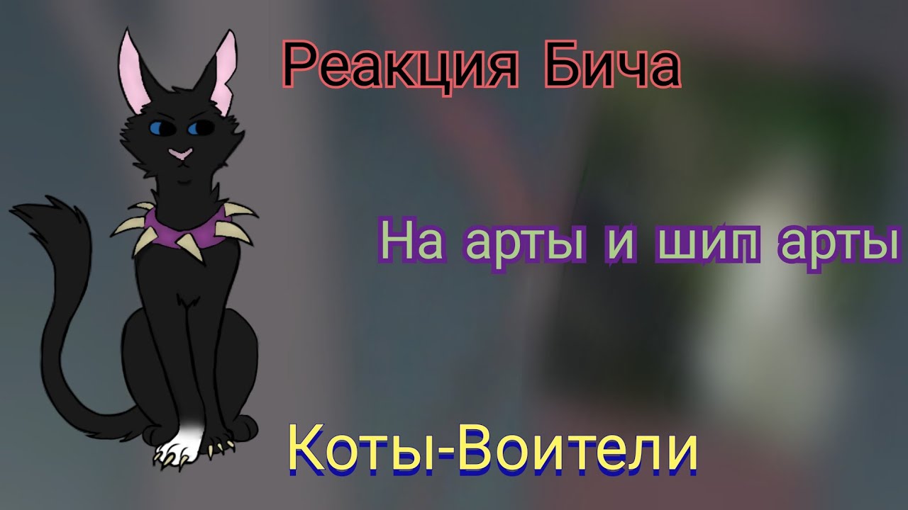 КОТЫ ВОИТЕЛИ - РЕАКЦИЯ БИЧА НА АРТЫ И ШИП АРТЫ