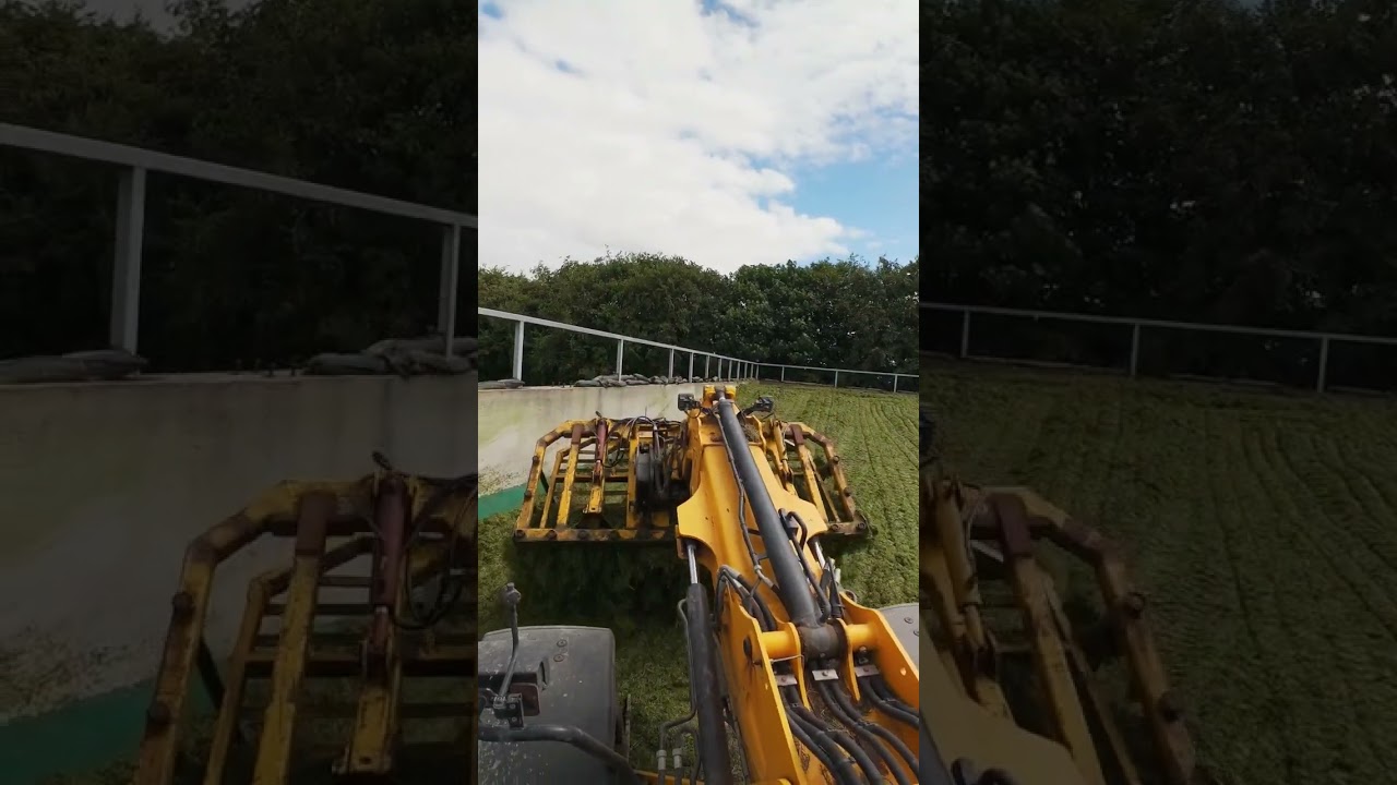 flicking time #arimagery #farming #agriculture #silage #grass #buckrake