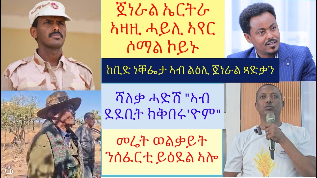 #ሓድሽ ውሳነ ቤት-ፍርዲ ኣብ ልዕሊ ምዕራብን ደቡብን ትግራይ #ኤርትራ ዝበሃል ጀነራል ኣዛዚ ሓይሊ ኣየር ኮይኑ #lbonatv #eritreanews #tigray
