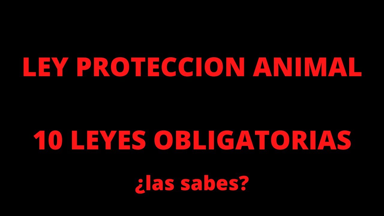 ⚖️🔴NUEVA LEY de PROTECCION ANIMAL - 10 LEYES OBLIGATORIAS🔴⚖️