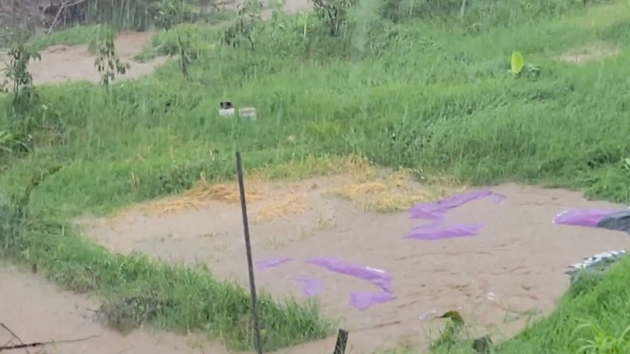 en peligro mi Ranchito mi milpa el  a Royo se desbordó  por tanta agua fuertes vientos i muchos Rays