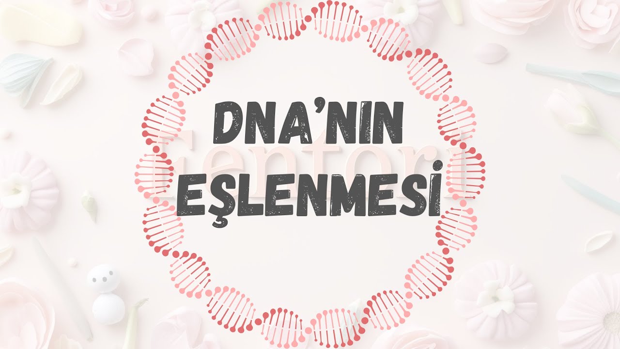 1 DAKİKADA DNA EŞLENMESİ KONU ANLATIMI | 8. SINIF 2. &Uuml;NİTE #lgs2026